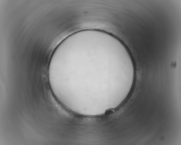 X0000110921521200907091444