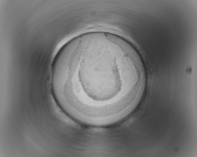 X0000110921522200907091444