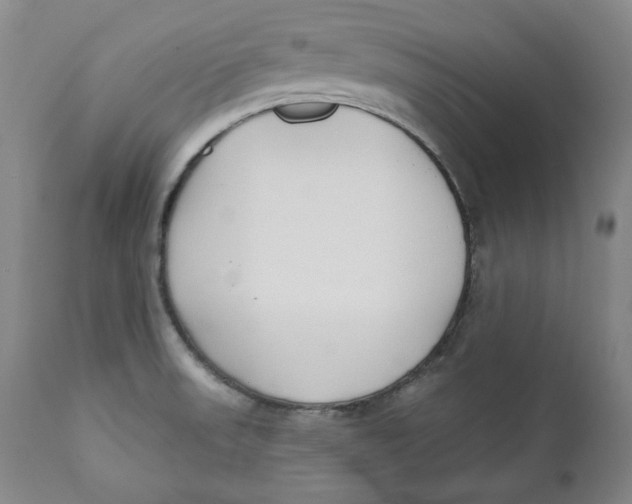 X0000110921523200907091444