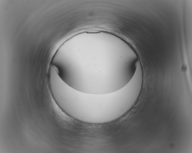 X0000110921524200907091444