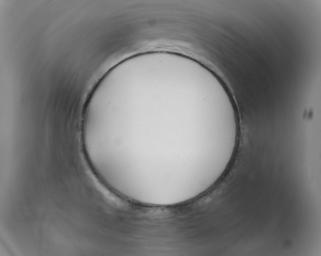 X0000110921525200907091444