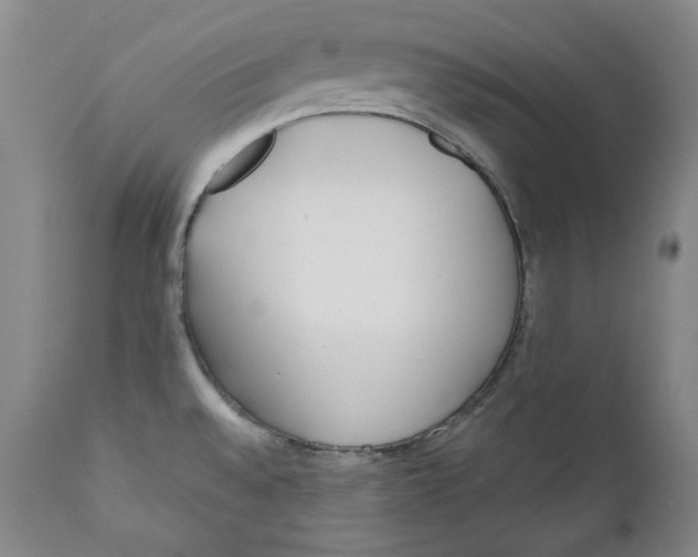 X0000110921528200907091444