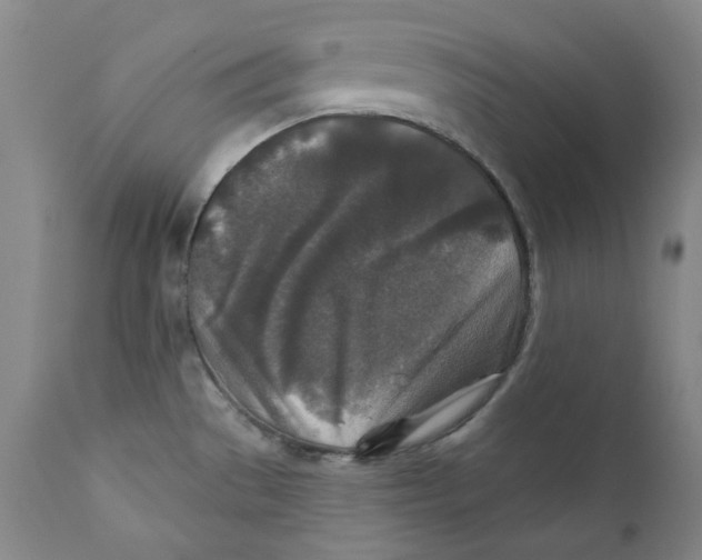 X0000110921529200907091444