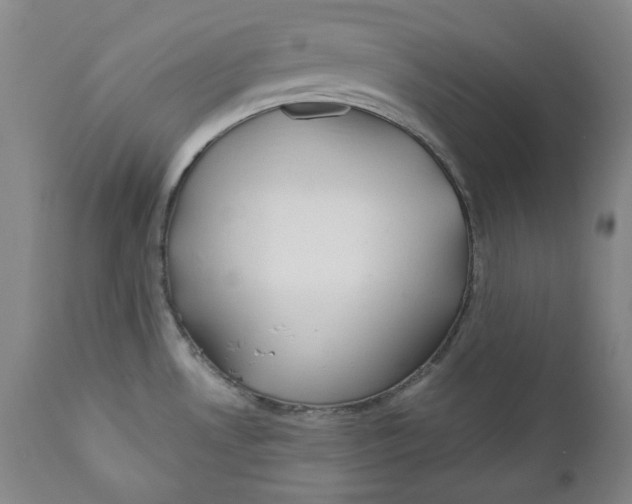 X0000110921530200907091444