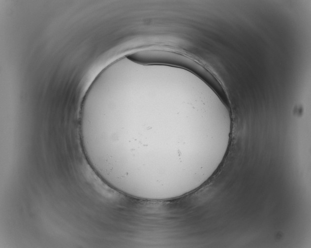 X0000110921532200907091444