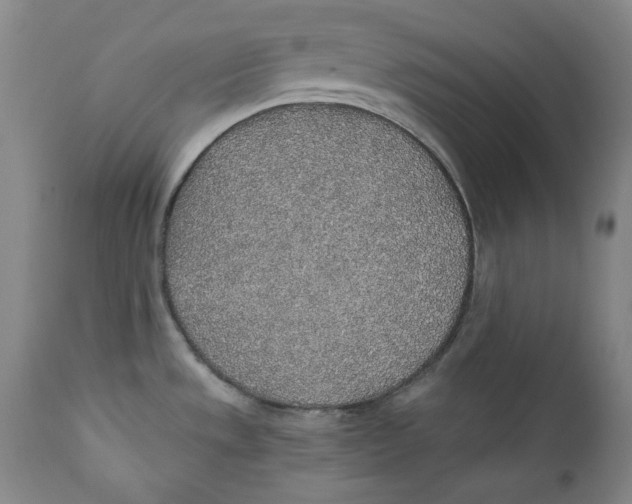 X0000110921533200907091444