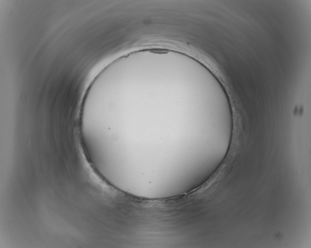 X0000110921536200907091445