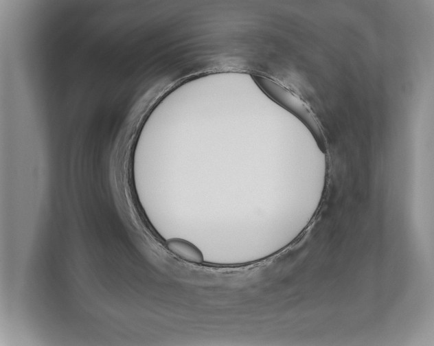 X0000110920001200907161528