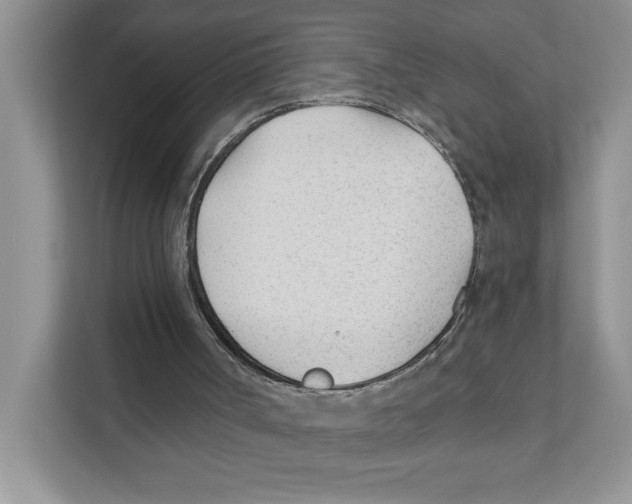 X0000110920002200907161528