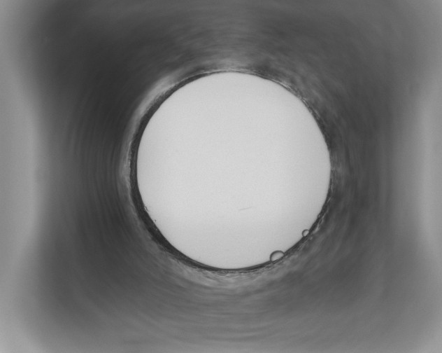 X0000110920006200907161528