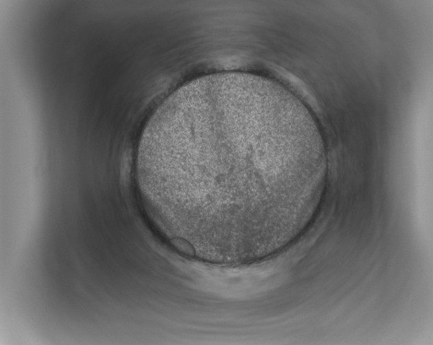 X0000110920018200907161528