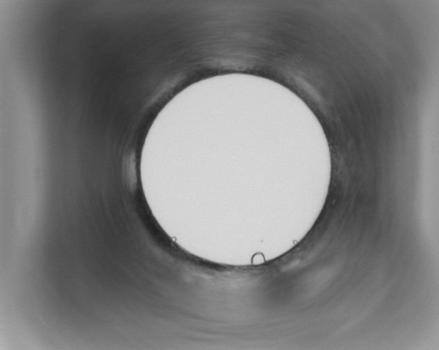 X0000110920020200907161528