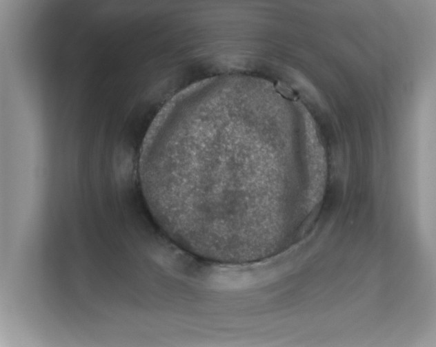 X0000110920029200907161528