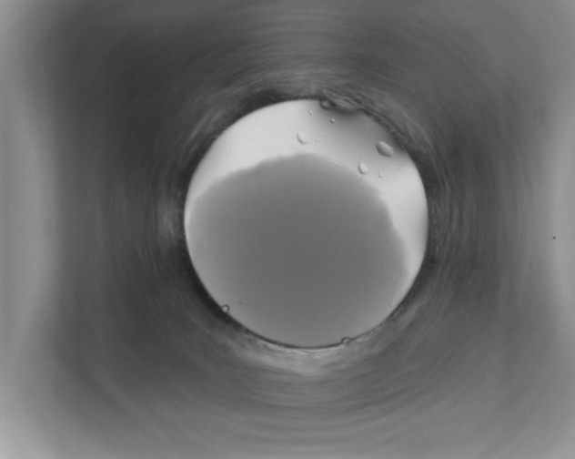 X0000110920035200907161528