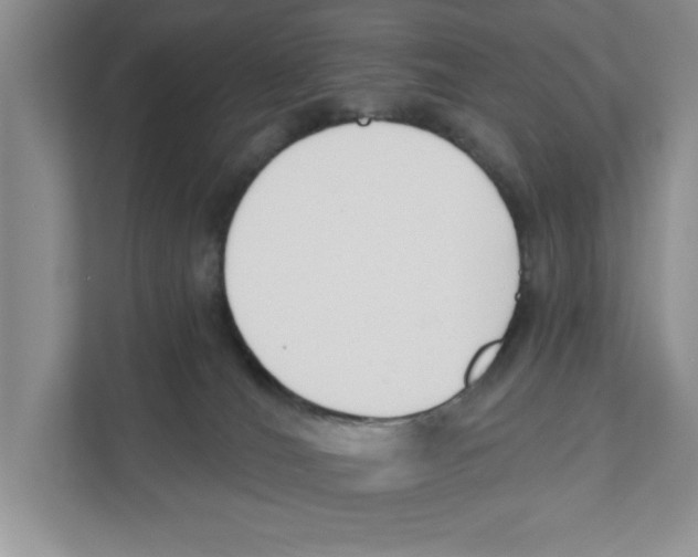 X0000110920036200907161528