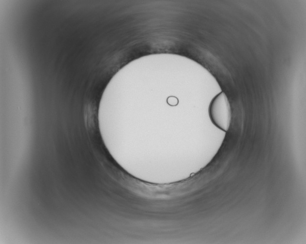 X0000110920038200907161528