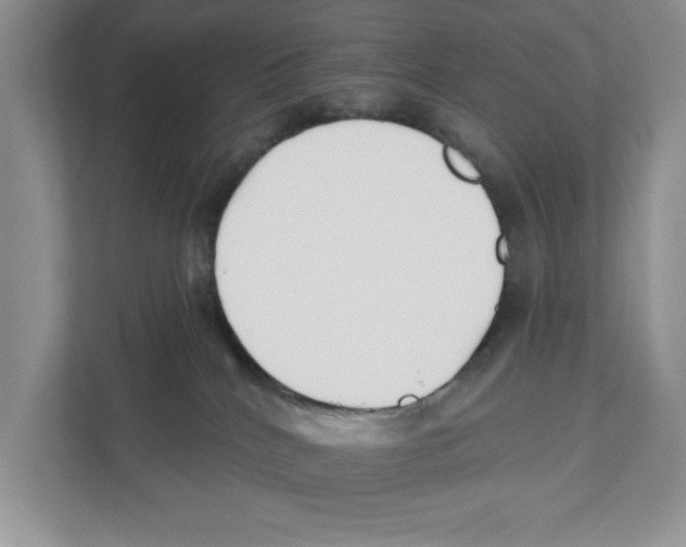 X0000110920040200907161528