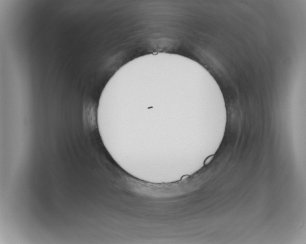 X0000110920042200907161528