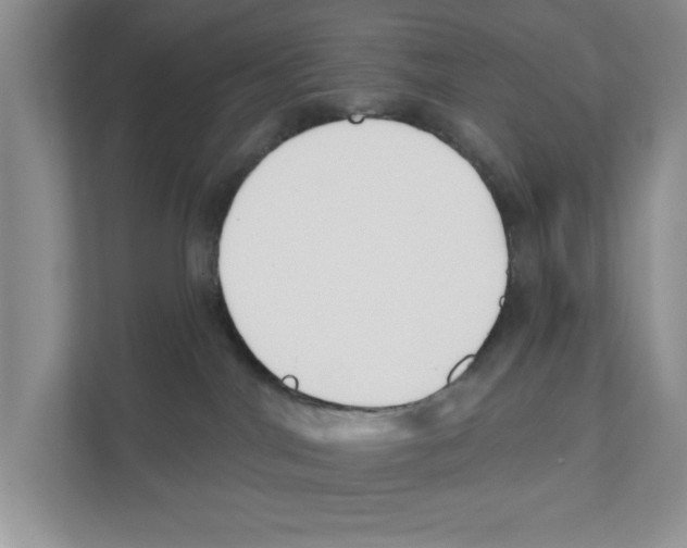 X0000110920044200907161528