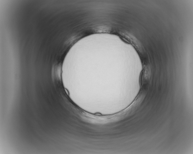 X0000110920047200907161528