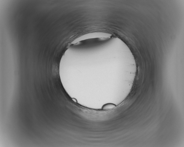 X0000110920048200907161528