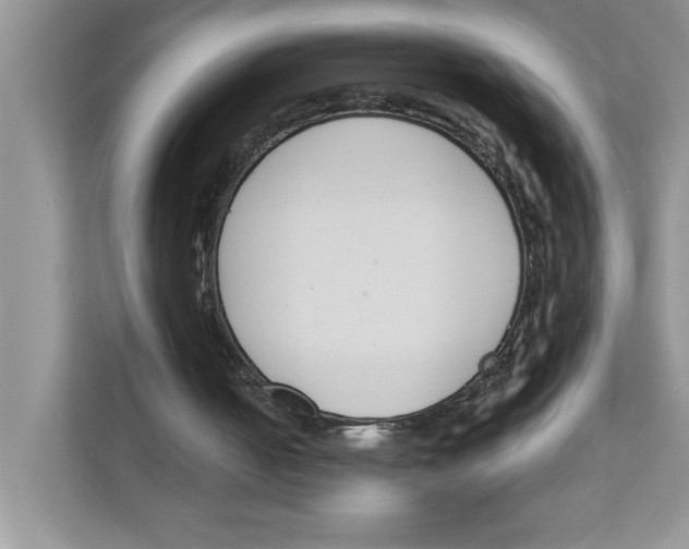 X0000110920050200907161527