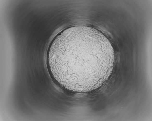 X0000110920051200907161527