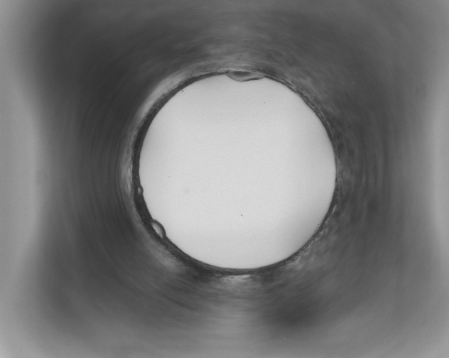X0000110920054200907161527