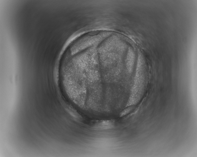 X0000110920056200907161527