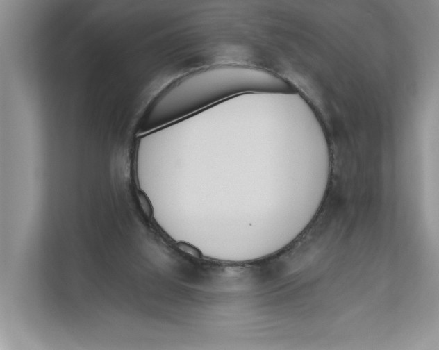 X0000110920060200907161527