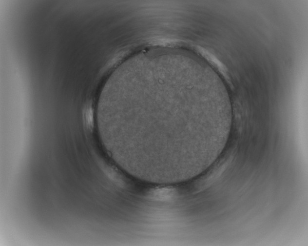 X0000110920067200907161527