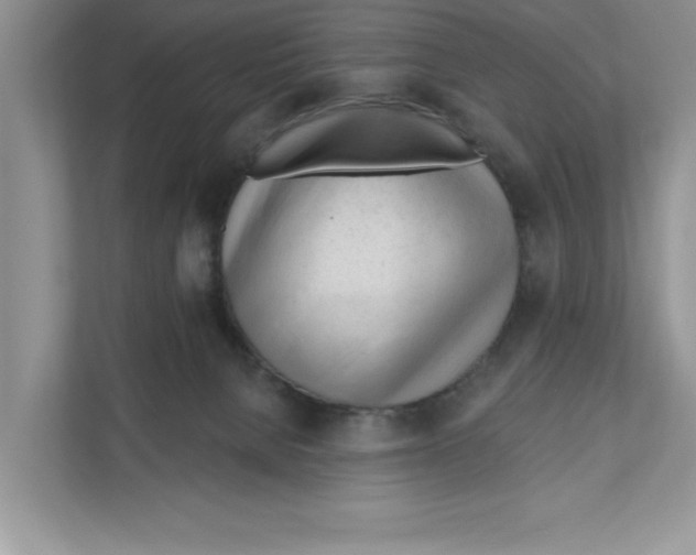 X0000110920080200907161527