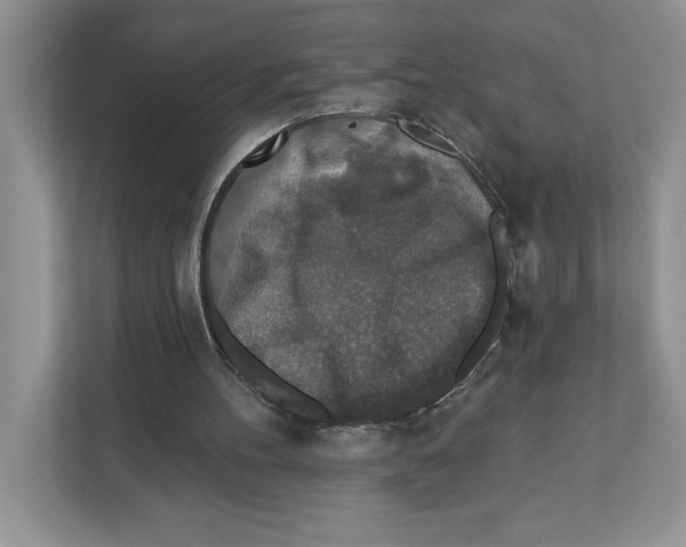 X0000110920100200907161527