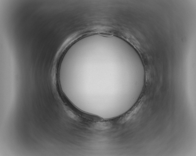 X0000110920101200907161527