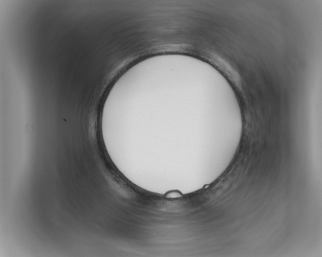 X0000110920107200907161527