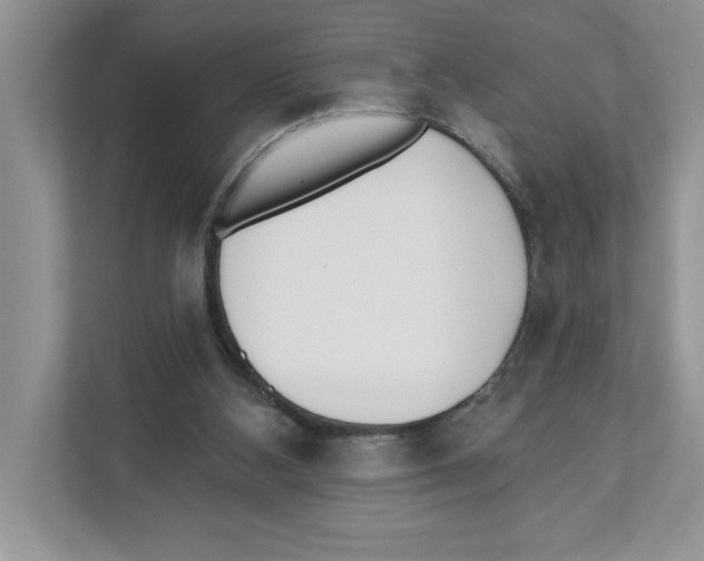 X0000110920108200907161527