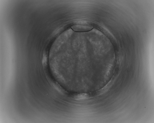 X0000110920124200907161527