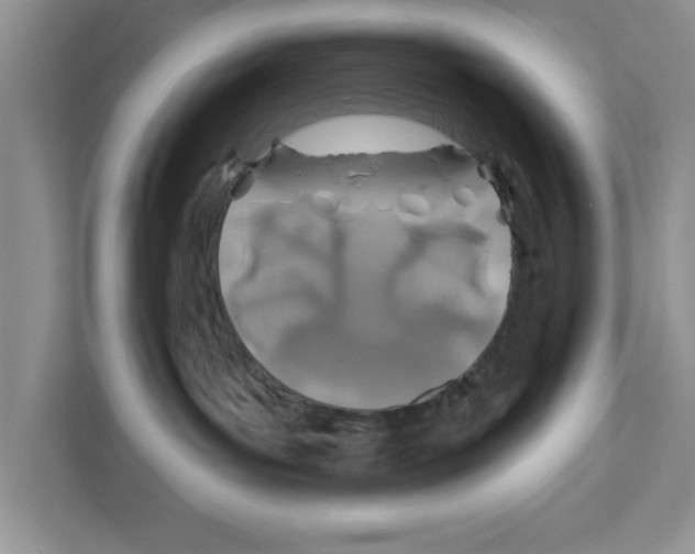 X0000110920143200907161526