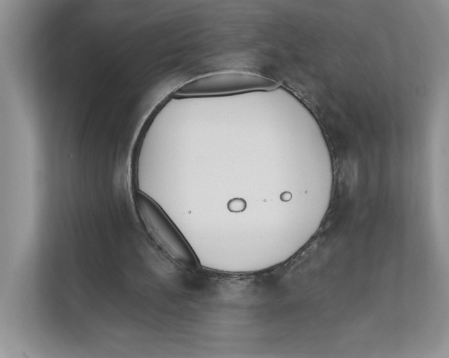X0000110920148200907161526