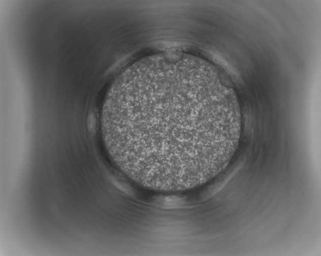 X0000110920165200907161526