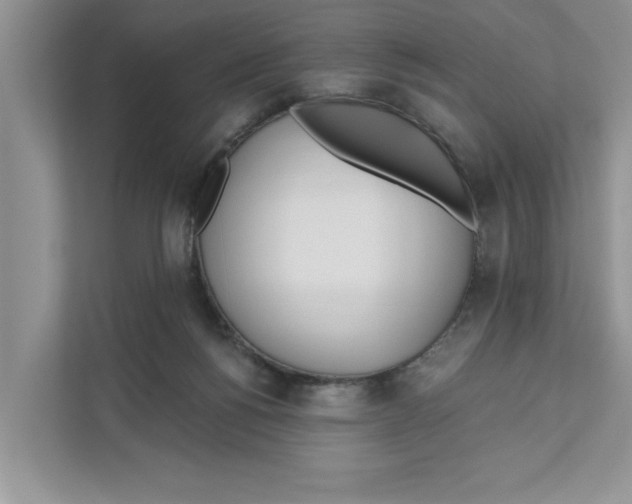 X0000110920168200907161526