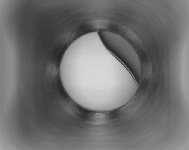 X0000110920176200907161526