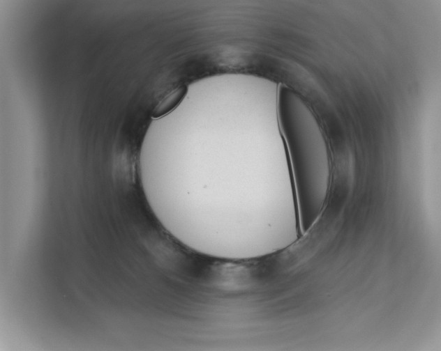 X0000110920180200907161526