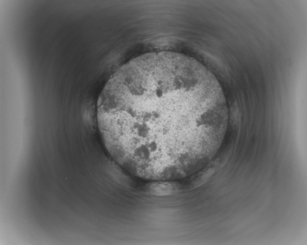 X0000110920181200907161526