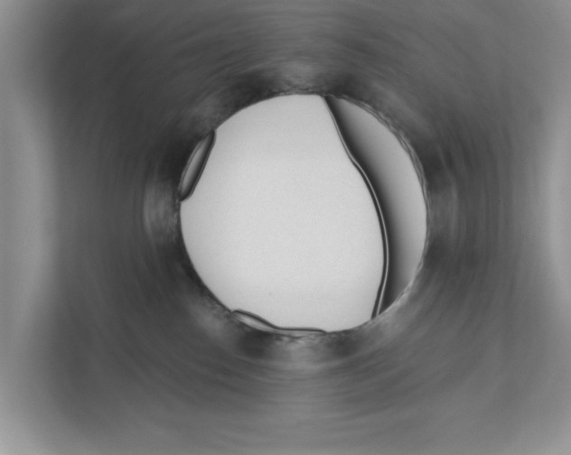 X0000110920186200907161526