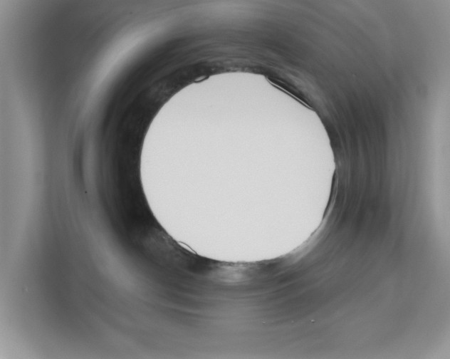 X0000110920190200907161526