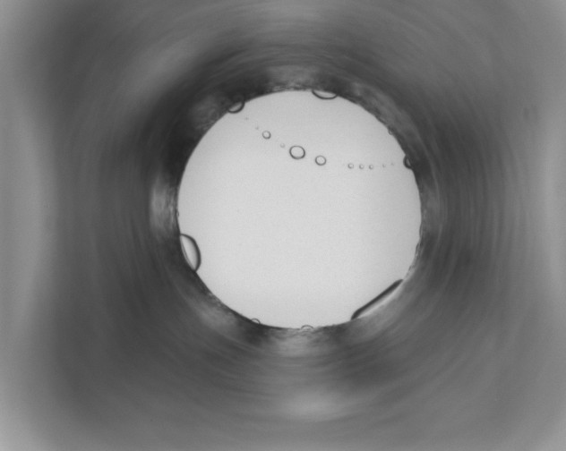 X0000110920191200907161526