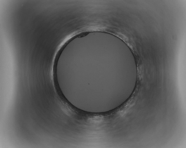 X0000110920196200907161526