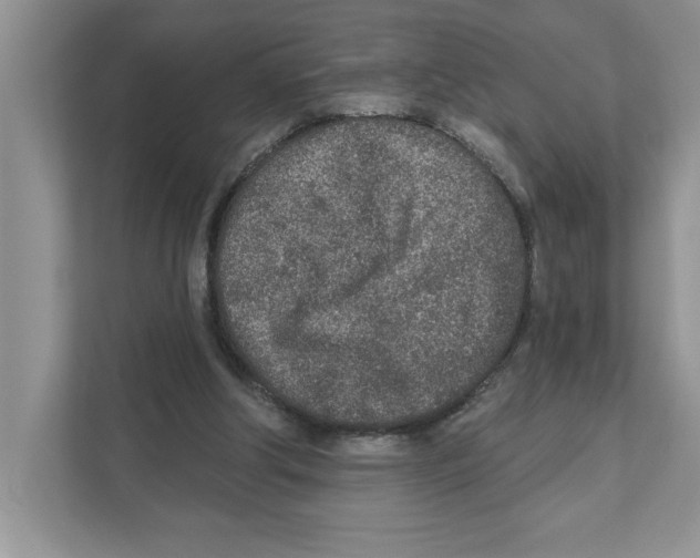 X0000110920202200907161526