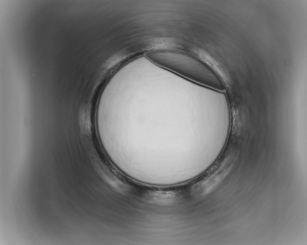 X0000110920203200907161526
